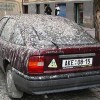 Die Tauben haben Durchfall