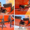 Unfall Vogel mit dem Flugzeug