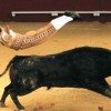 Fliegender Torreador