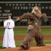 Chewbacci Kariere