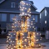 Student Tannenbaum