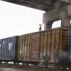 Hirsch im Waggon