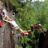 Extreme Bergsteigerung