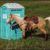 Toilette für Cowboy