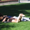Erholung im Park