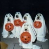 Hundehalloween