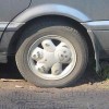 Teddybär