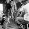 Frische Milch