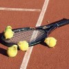 Lebendige Tennisbälle