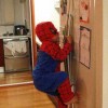 Spiderman