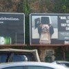 Sich ergenzende Werbungen