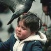Wenn die Vögel angreifen 1