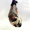Bungee Sprung