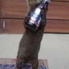 Alle trinken Bud Light