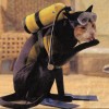 Die Katze geht tauchen