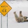Achtung! Eis