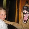 Lachende Hund
