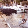 Flucht 