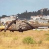 Hubschrauber