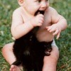 Spiele mit der Katze