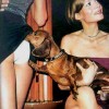 Gereizter Hund