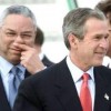 Bush stinkt
