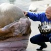 Walross Geburtstag