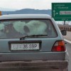 Kuh im Auto