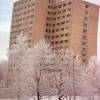 Haus