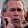 Bushs Mimik