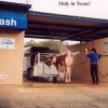 Autowäscherei in Texas