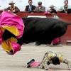 Torreador