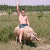 Ein Schweinebändiger