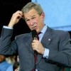  Bush denkt
