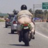 Speed 