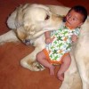 Von dem Hund erschreckt